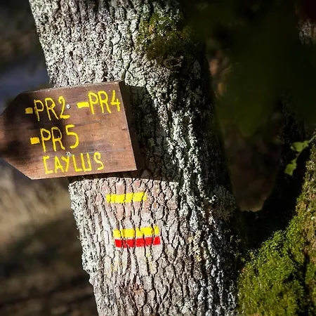 Du Levant Au Couchant - 2 Mitoyens A - Piscine - Jardin - 5 - 12 Personnes - 5 Minutes Du Village Medieval *