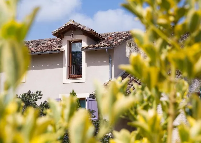 Du Levant Au Couchant - 2 Mitoyens à - Piscine - Jardin - 5 - 12 Personnes - 5 Minutes Du Village Médiéval *