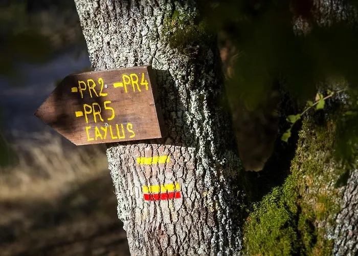 Du Levant Au Couchant - 2 Mitoyens à - Piscine - Jardin - 5 - 12 Personnes - 5 Minutes Du Village Médiéval *